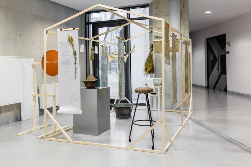 instalacja z nawłocią, projekt dyplomowy na kierunku Wzornictwo